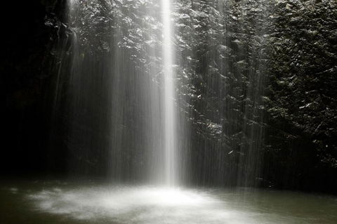 Natural Bridge Glow Worm Night Tour From Gold Coast - Accommodation Nelson Bay 2