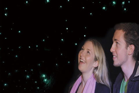 Natural Bridge Glow Worm Night Tour From Gold Coast - Accommodation Nelson Bay 3