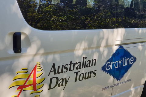 Natural Bridge Glow Worm Night Tour From Gold Coast - Accommodation Nelson Bay 5