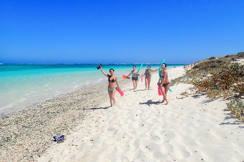 Ningaloo In A Day - Full Day Hike And Snorkel Tour With Lunch - Accommodation Nelson Bay 1