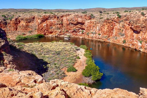 Ningaloo In A Day - Full Day Hike And Snorkel Tour With Lunch - Accommodation Nelson Bay 2