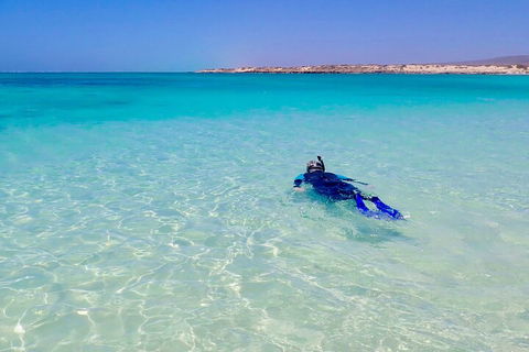 Ningaloo In A Day - Full Day Hike And Snorkel Tour With Lunch - Accommodation Nelson Bay 4