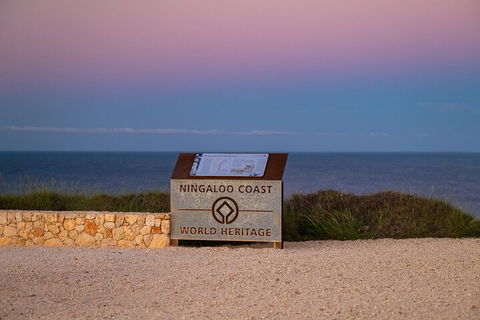 Ningaloo In A Day - Full Day Hike And Snorkel Tour With Lunch - Accommodation Nelson Bay 5