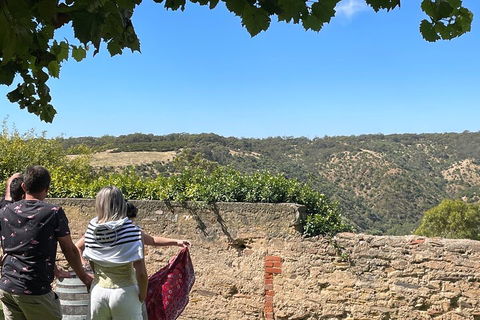 Private Mclaren Vale Wine Tour - Accommodation Nelson Bay 2