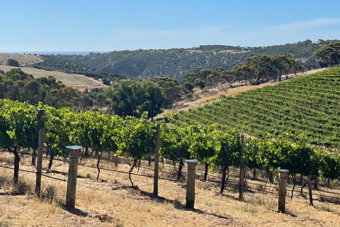Private Mclaren Vale Wine Tour - Accommodation Nelson Bay 3