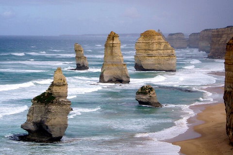 LGBT+ Friendly 2 Day Private Tour Great Ocean Road + Phillip Island - Nelson Bay Accommodation.com 0