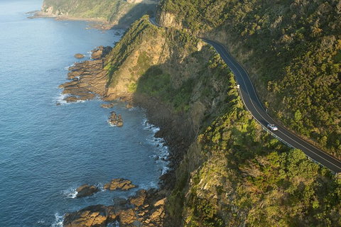 LGBT+ Friendly 2 Day Private Tour Great Ocean Road + Phillip Island - Nelson Bay Accommodation.com 4