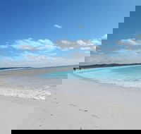 Shipwreck Special Nature Tour/Half Day Tour - Accommodation Nelson Bay