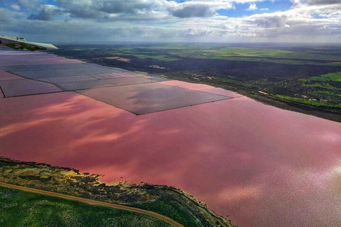Kalbarri, Pink Lake And Abrolhos Islands Nature Tour - Accommodation Nelson Bay 1