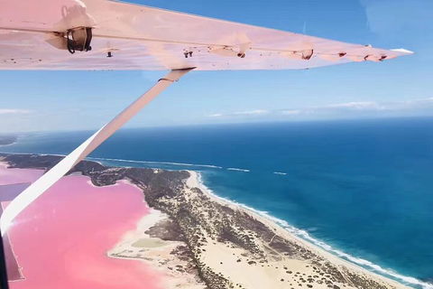 Kalbarri, Pink Lake And Abrolhos Islands Nature Tour - Accommodation Nelson Bay 4