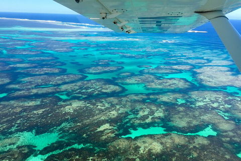 Kalbarri, Pink Lake And Abrolhos Islands Nature Tour - Accommodation Nelson Bay 5