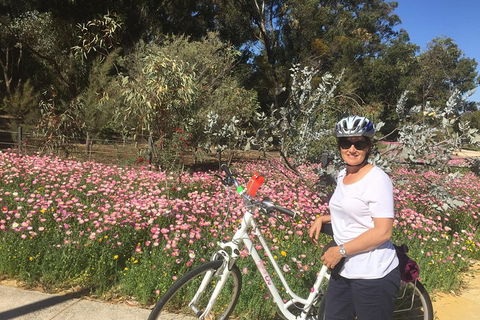 Perth Bike Tour - Beautiful Matilda Bay And Kings Park - Accommodation Nelson Bay 1