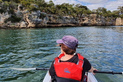 Cliffs And Caves Kayak Tour In Swan River - Accommodation Nelson Bay 0