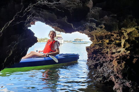 Cliffs And Caves Kayak Tour In Swan River - Accommodation Nelson Bay 1