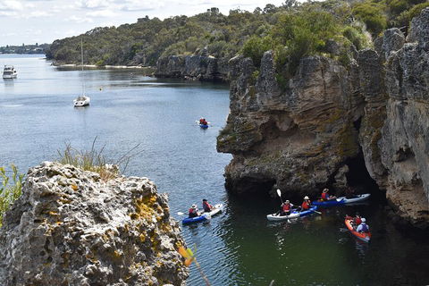 Cliffs And Caves Kayak Tour In Swan River - Accommodation Nelson Bay 5
