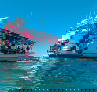 Best of Moreton Bay Cruise - Accommodation Nelson Bay