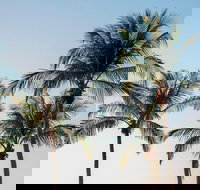 Darwin City Sightseeing Tour - Accommodation Nelson Bay