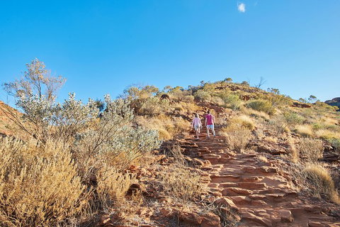 Kings Canyon Guided Rim Walk - Accommodation Nelson Bay 1