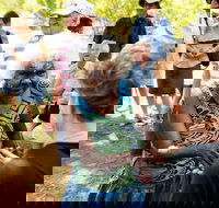 Tiwi Islands Cultural Experience from Darwin Including Ferry - Accommodation Nelson Bay