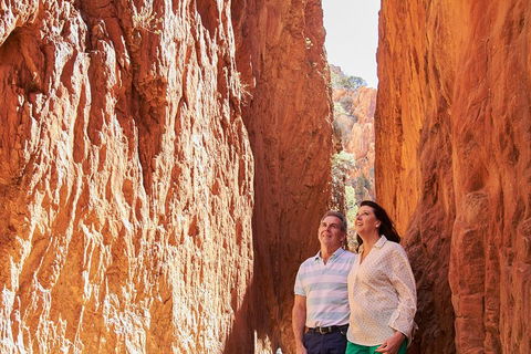 Best Of Alice Springs Full Day Tour - Accommodation Nelson Bay 4