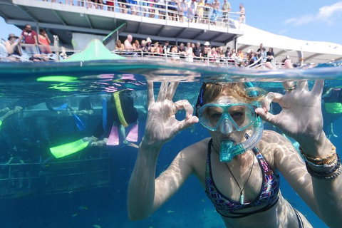 Great Barrier Reef Day Cruise From Cairns Including Snorkeling And Marine Biologist Presentation - Accommodation Nelson Bay 0