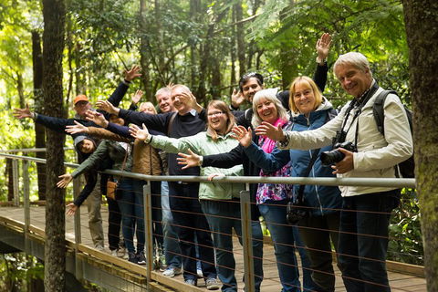 All Inclusive Blue Mountains Small-Group Day Trip From Sydney - Accommodation Nelson Bay 5