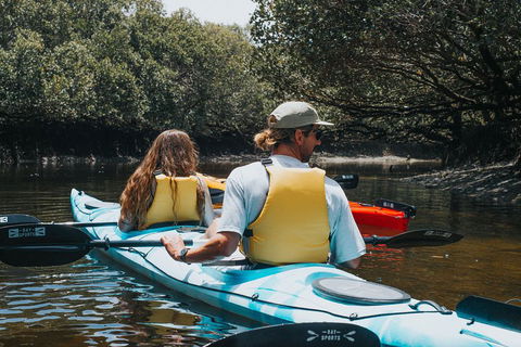 Kayak Tour In Adelaide Dolphin Sanctuary - Accommodation Nelson Bay 2