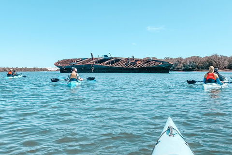 Kayak Tour In Adelaide Dolphin Sanctuary - Accommodation Nelson Bay 3