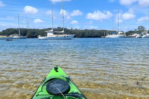 Kayak Tour In Adelaide Dolphin Sanctuary - Accommodation Nelson Bay 4