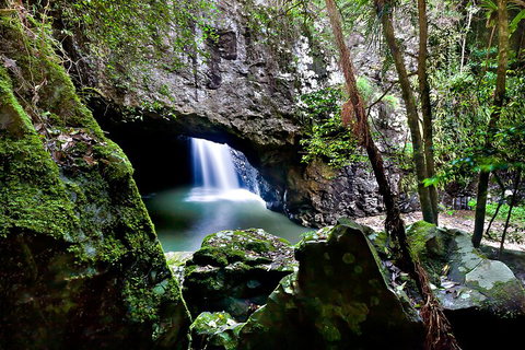 Natural Bridge & Springbrook Waterfalls Tour + Hot Air Balloon With Breakfast - Accommodation Nelson Bay 4