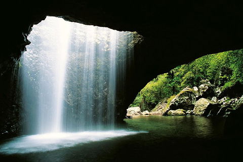 Natural Bridge & Springbrook Waterfalls Tour - Accommodation Nelson Bay 0