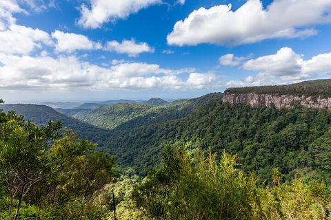 Natural Bridge & Springbrook Waterfalls Tour - Accommodation Nelson Bay 1