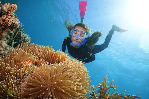 Quicksilver Outer Great Barrier Reef Snorkel Cruise From Port Douglas - Accommodation Nelson Bay 2