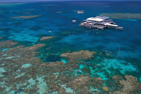 Quicksilver Outer Great Barrier Reef Snorkel Cruise From Port Douglas - Accommodation Nelson Bay 3