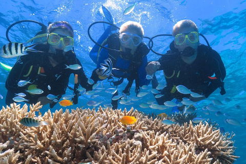 Quicksilver Outer Great Barrier Reef Snorkel Cruise From Port Douglas - Accommodation Nelson Bay 4