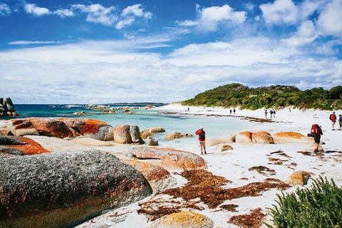 Wineglass Bay Private Charter Service - Accommodation Nelson Bay 3