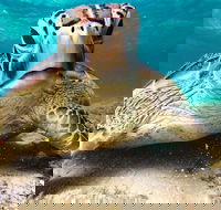 Sail Snorkel SUP  Kayak Charter Whitsundays - Accommodation Nelson Bay