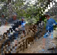 Fully guided E-Mountain Bike Tour on the beautiful Mornington Peninsula. - Accommodation Nelson Bay