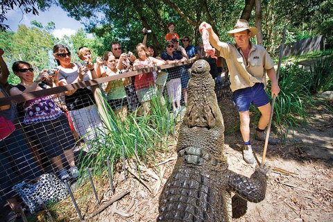 Hartley's Crocodile Adventure Half-Day Tour - Nelson Bay Accommodation.com 4