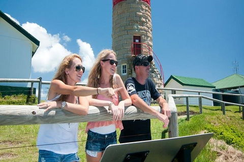 Full-Day Moreton Island 4x4 Sightseeing Tour - Accommodation Nelson Bay 3