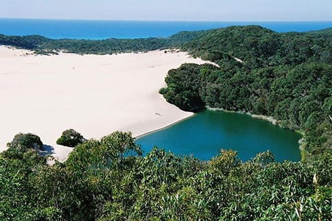 Full-Day Moreton Island 4x4 Sightseeing Tour - Accommodation Nelson Bay 5