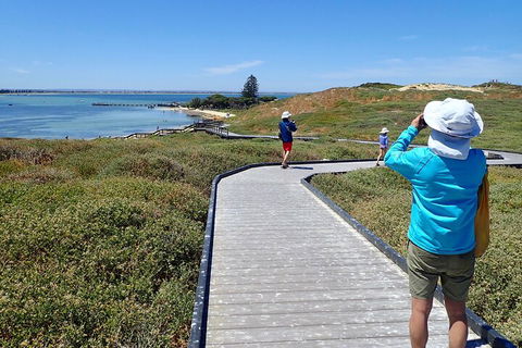 Penguin And Seal Islands Sea Kayaking Experience - Accommodation Nelson Bay 1