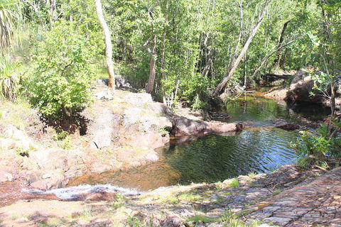 Jumping Crocodile Cruise And Berry Springs Nature Park - Accommodation Nelson Bay 3