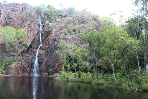 Jumping Crocodile Cruise And Berry Springs Nature Park - Accommodation Nelson Bay 5