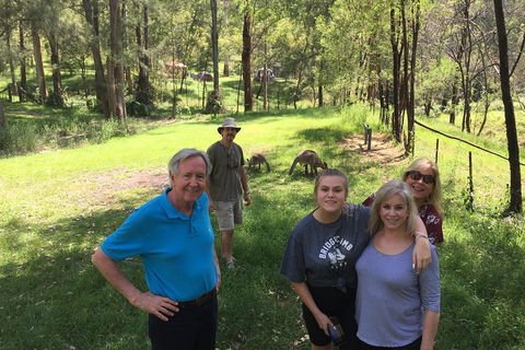 Small Group Blue Mountains Day Tour From Sydney - Accommodation Nelson Bay 1