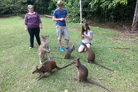 Small Group Blue Mountains Day Tour From Sydney - Accommodation Nelson Bay 2