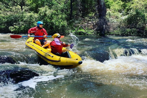 Yarra River Half-Day Rafting Experience - Accommodation Nelson Bay 4