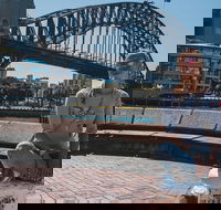 Sydney Private Tours by Locals 100 Personalized See the City Unscripted - Accommodation Nelson Bay