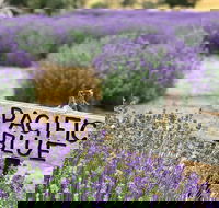 Kangaroo Island Food and Wine Trail Tour - Nelson Bay Accommodation.com