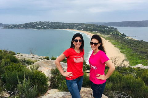 Small-Group Sydney's Northern Beaches And Ku-ring-gai National Park Bus Tour - Accommodation Nelson Bay 3